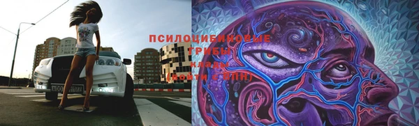 гашишное масло Дмитриев