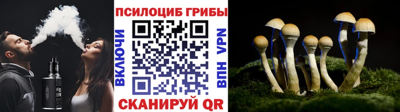 Галлюциногенные грибы Magic Shrooms  Купить  Кукмор 